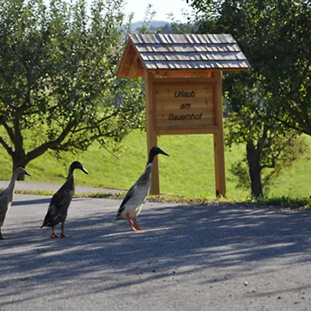 Urlaub Am Bauernhof Klein Bachbauer Vakantieboerderij Birkfeld