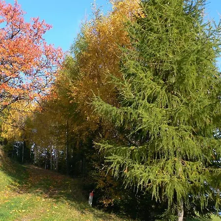 Urlaub Am Bauernhof Klein Bachbauer Farm stay