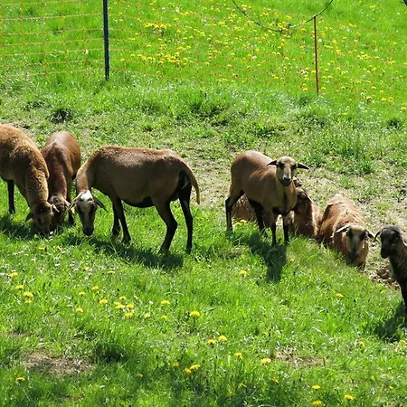 Urlaub Am Bauernhof Klein Bachbauer *