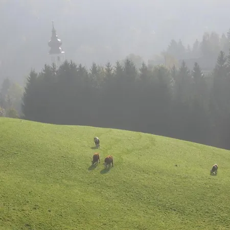 Urlaub Am Bauernhof Klein Bachbauer Alloggio per agriturismo