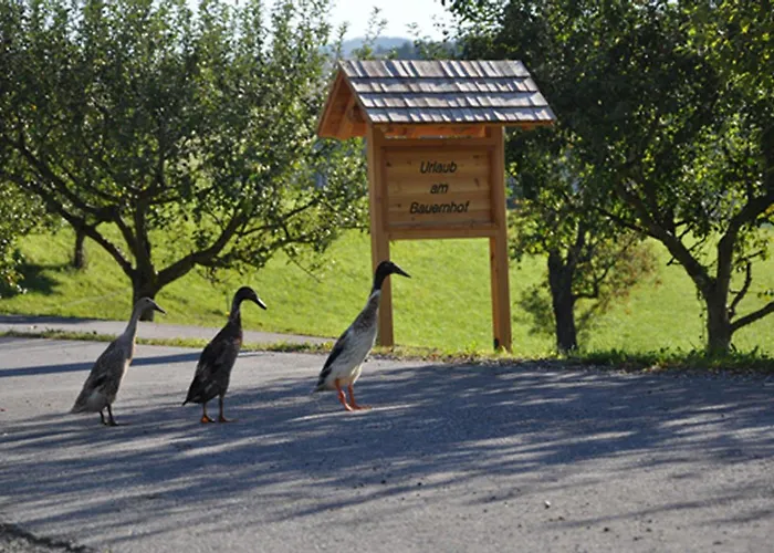 Urlaub Am Bauernhof Klein Bachbauer Alloggio per agriturismo Birkfeld