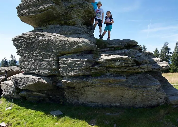 Urlaub Am Bauernhof Klein Bachbauer Birkfeld