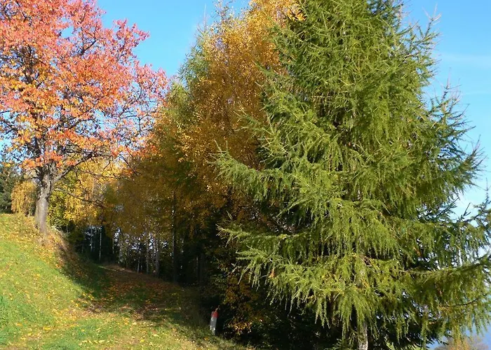 Urlaub Am Bauernhof Klein Bachbauer Alloggio per agriturismo
