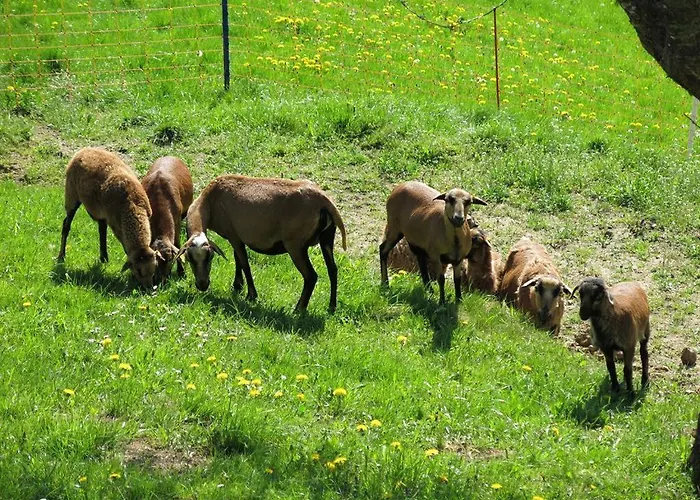 Urlaub Am Bauernhof Klein Bachbauer *