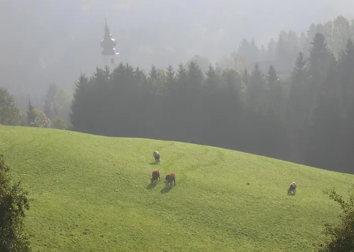 Urlaub Am Bauernhof Klein Bachbauer Vakantieboerderij
